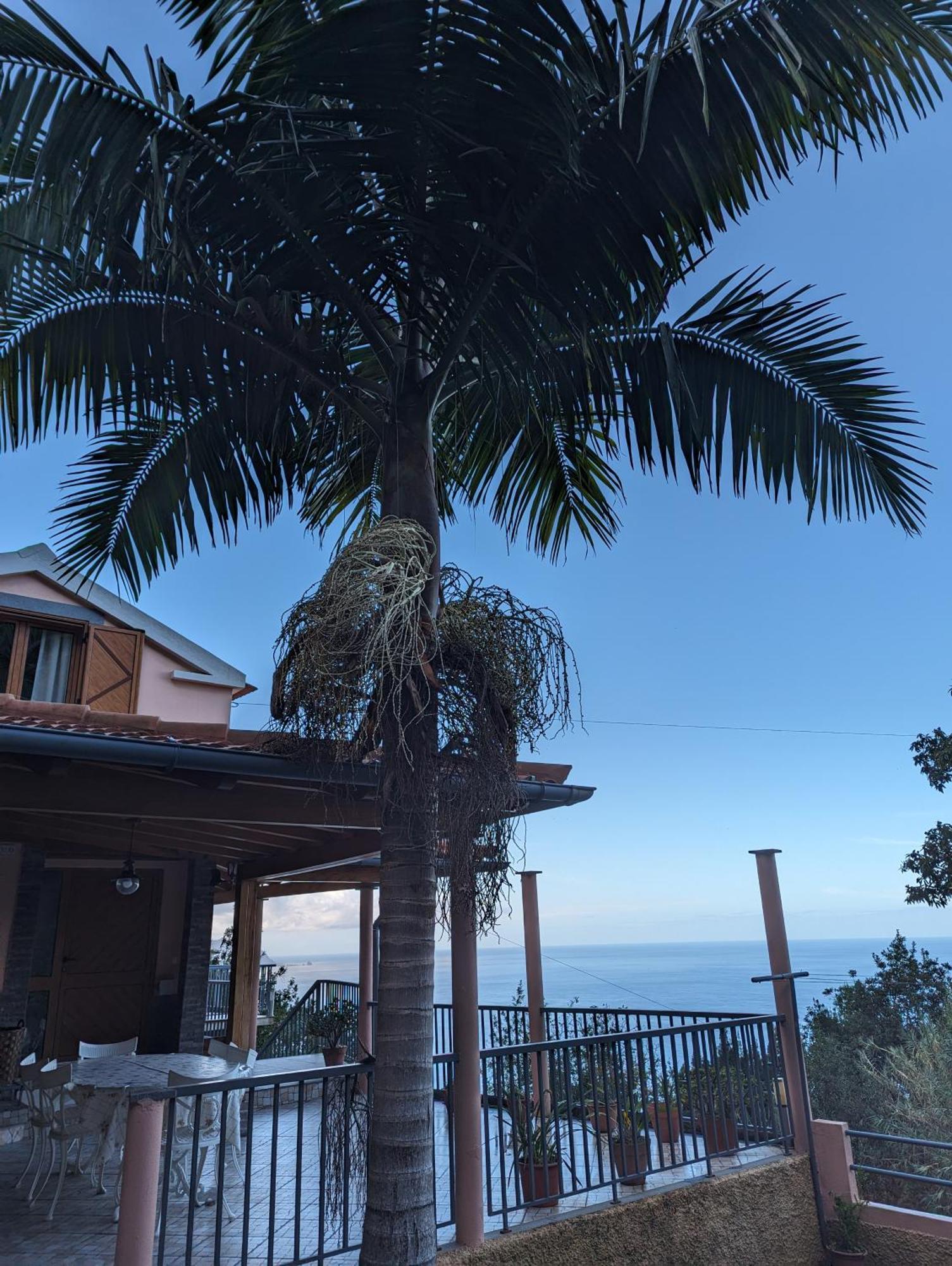 Fantatic Holiday House Ponta Delgada  Exterior foto